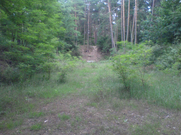 Strzelnica Dąbie