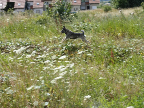 majka lata ponad ziemią