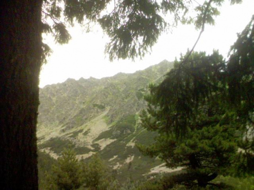 góry ,przyroda,wolnosc #góry #przyroda