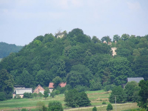 Płonina. Na wzgórzu , między drzewami widoczne ruiny zamku i pałacu Niesytno. zoom 10x #Płonina #rower #RudawyJanowickie #ZamekNiesytno #GóryOłowiane