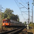 31.07.2008 EN57-987+EN57+EN57-1817 wjeżdżają do Kostrzyna jako pociąg specjalny z Katowic do Kostrzyna.