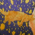 Słodki puszek sobie spi:)) #kot #puszek #zwierzęta