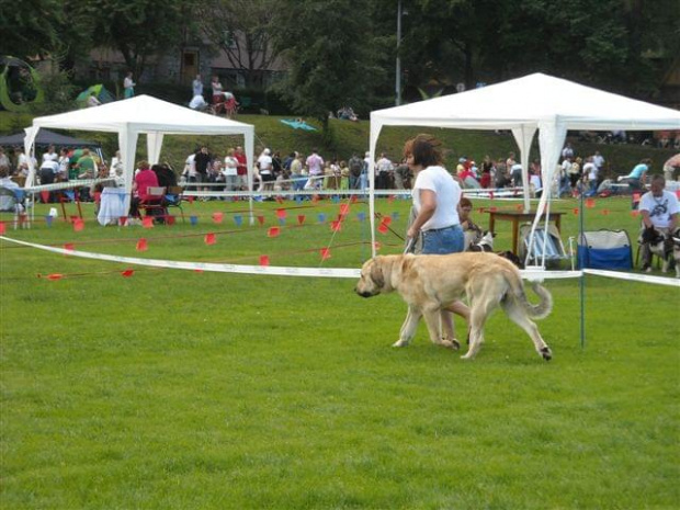 zakopane2008