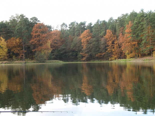 zalew Rejów jesienią