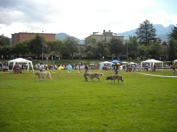 zakopane2008