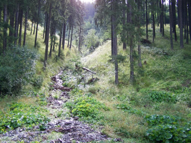 #tatry #DolinaChochołowska