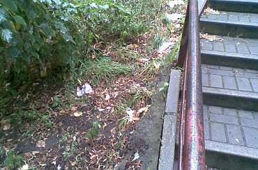 #Zgorzelec #studzienka #śmieci #Daszyńskiego #PrzedmieścieNyskie