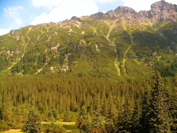 W drodze nad Morskie Oko