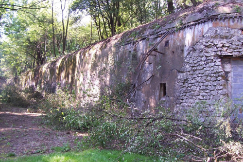 Fort 49 A Dłubnia