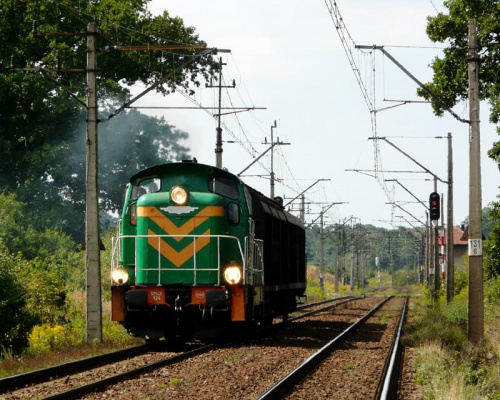 SM42-924 z dwoma wagonami jako pociąg do Nowych Skalmierzyc. podg. Stary Staw. 21.08.08r. #smród #smrodek #wibrator #stonka #maszyna #lokomotywa #pociąg