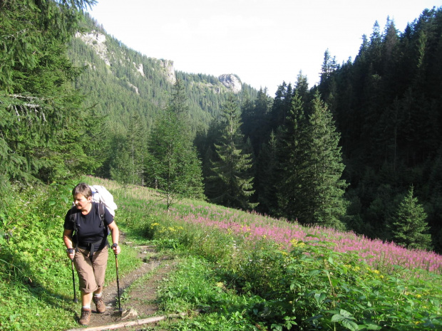 Kolorowe kobierce #Góry #Tatry