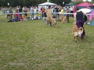 #leonberger #AptekaNatury