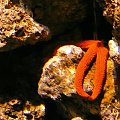 06.08.2008