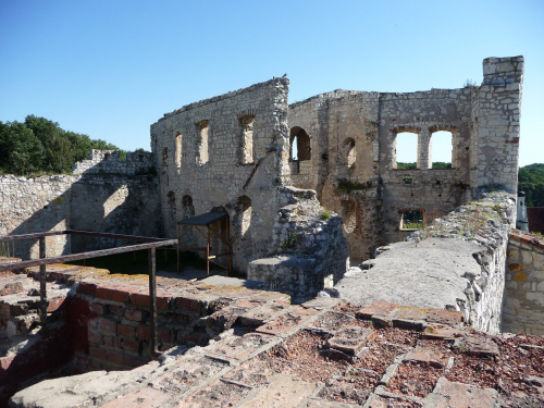 Ruiny zamku w Kamzierzu Dolnym