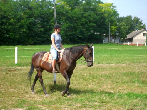 Zarogów 27.08.2008