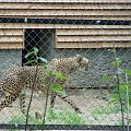 Nasze wszystkie dzieci i wnuki w łódzkim zoo