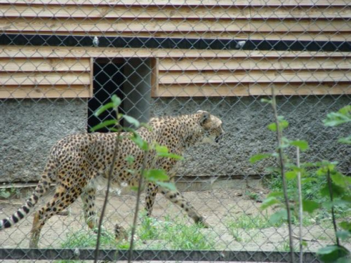 Nasze wszystkie dzieci i wnuki w łódzkim zoo