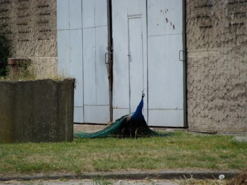 Nasze wszystkie dzieci i wnuki w łódzkim zoo