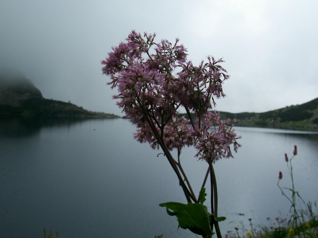 #Tatry2008