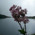 #Tatry2008