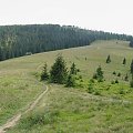 Hala Turbacz z Czoła Turbacza #góry #gorce