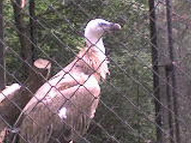 Pawełek w łódzkim Zoo