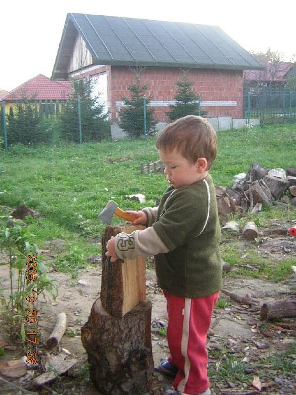 Urodziny urodzinami a drzewo porąbać trzeba!