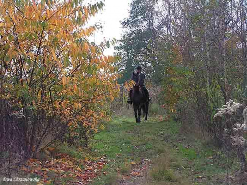 2008.10.18 Hubertus I