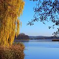 #jezioro #Osieczna #JezioroŁoniewskie