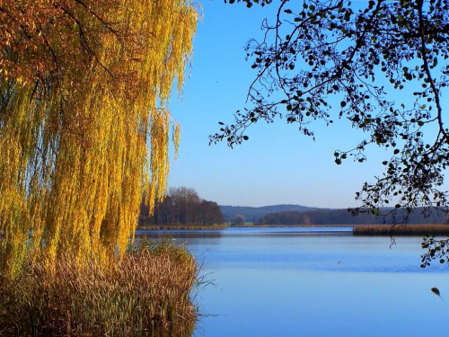 #jezioro #Osieczna #JezioroŁoniewskie