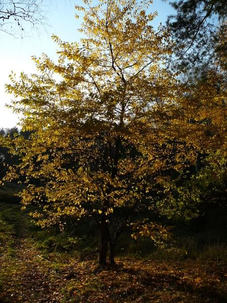 Pięknie wyglądam