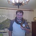 wąz boa constrictor dusiciel