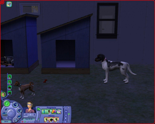 zwierzaki z gry the sims 2 zwierzaki #zwierzaki #psy #TheSims2 #coonhound #basenji