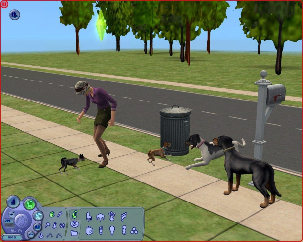 zwierzaki z gry the sims 2 zwierzaki #zwierzaki #psy #TheSims2 #kobieta #coonhound #basenji