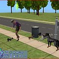 zwierzaki z gry the sims 2 zwierzaki #zwierzaki #psy #TheSims2 #kobieta #coonhound #basenji