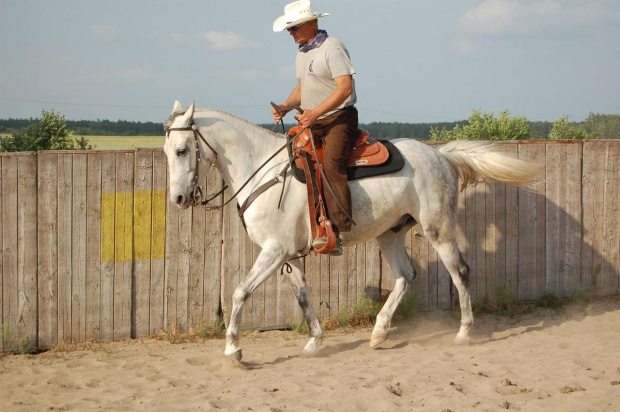 pan Andrzej i Łotysz