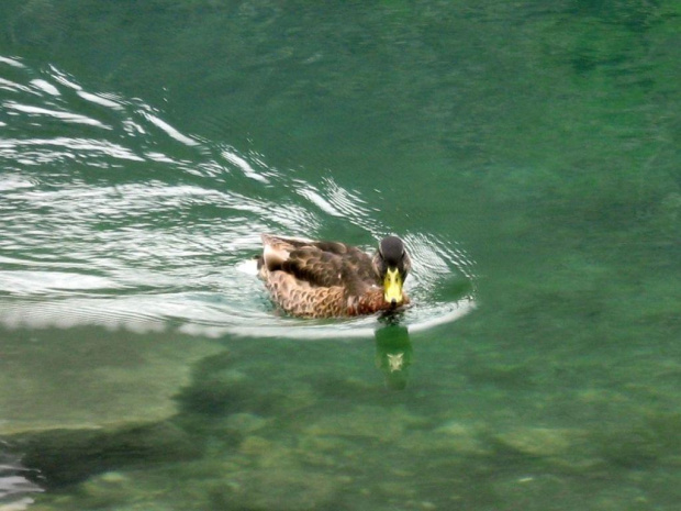 morskie oko 04 #GóryTatryMorskieOko