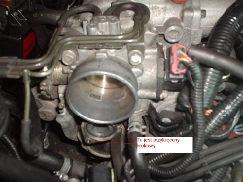 Krokowy w Galant V6-24