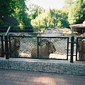 #ZOO #ZWIERZĘTA