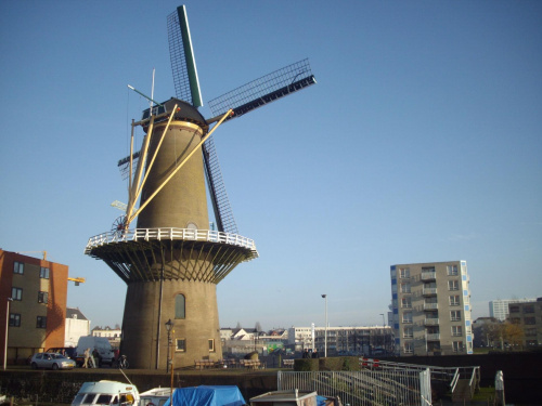 Być w Holandii i nie widzieć wiatraków?
