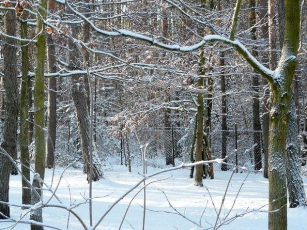 stko sprawdzą i uporządkuja to pojdziet