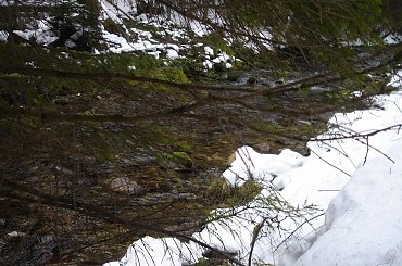 ;) #ferie #zakopane #warszawa #harenda #sheesha #narty #stok #góry #DolinaKościeliska