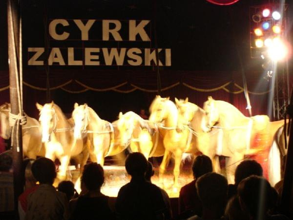 Cyrk Zalewski 2006 Zakaz kopiowania zdjęć zapraszamy na www.cyrk-fan.com #CyrkZalewski