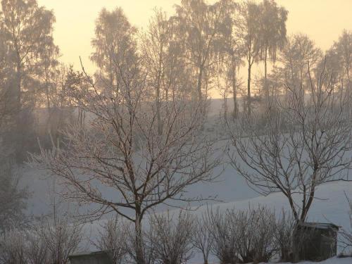 Zimowy obrazek #zima #śnieg #mróz #krajobraz #biało