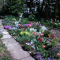 na działce maj 2007