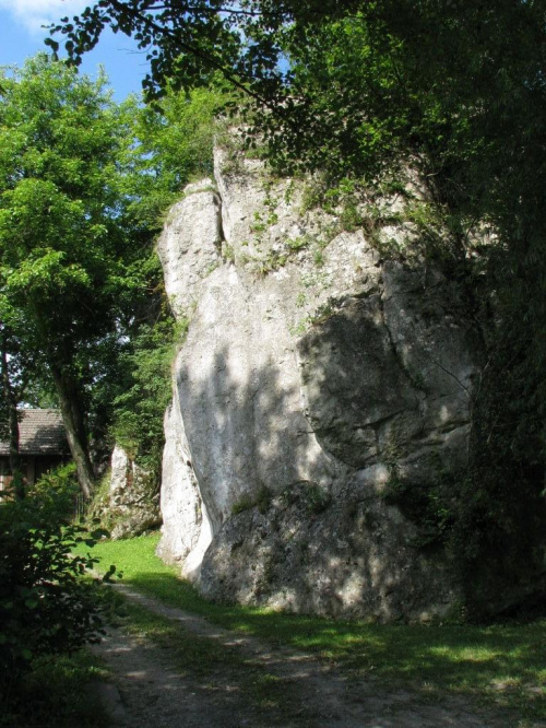 Skała Bramy Kobylańskiej.