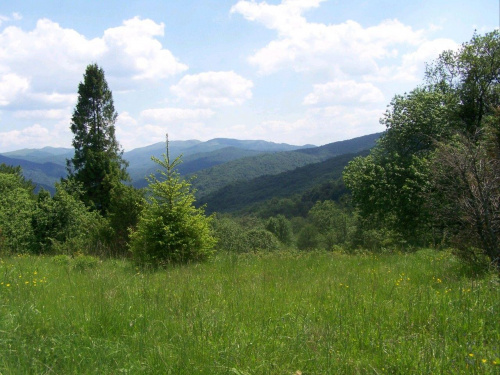 #bieszczady #PrzysłupCaryński