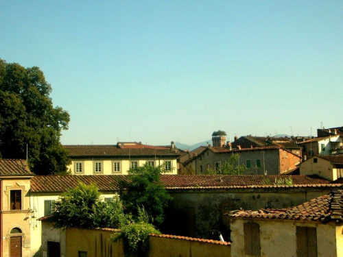 Lucca - w dali Torre Guinigi
