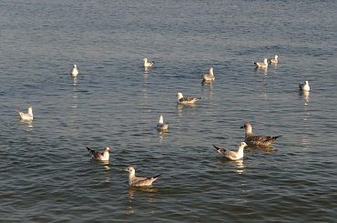 Sarbinowo 2006 #morze #Bałtyk #Sarbinowo #plaża