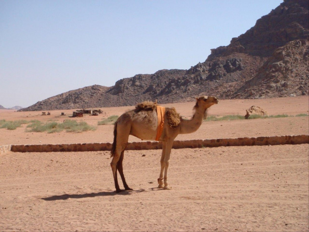 Wadi Rum (Jordania)